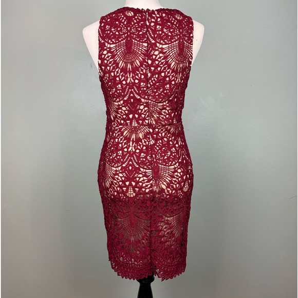 Stunning Burgundy Lace Bodycon - Picture 6 of 9